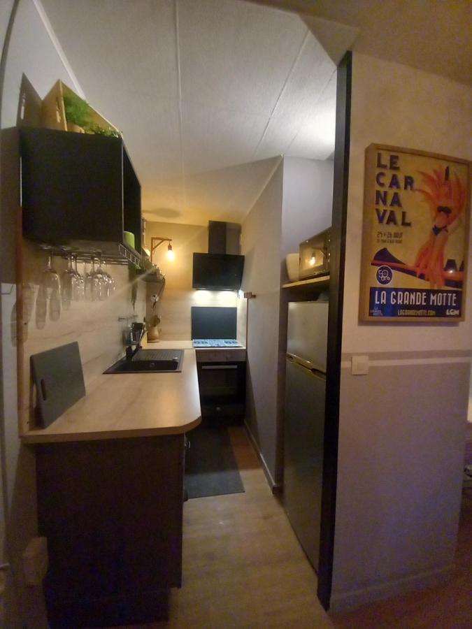 Rose Cote Mer Studio Et Garage, Entree Autonome Apartment Ла Гранде-Моте Екстериор снимка